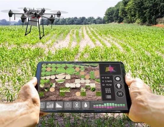 innovación y tecnología para el campo